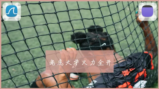 老虎大学火力全开