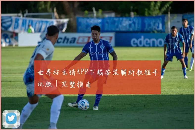 世界杯竞猜APP下载安装解析教程手机版｜完整指南
