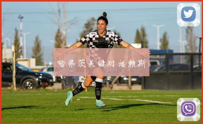 哈弗茨关键对话赖斯