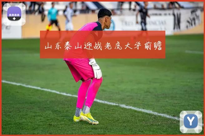 山东泰山迎战老虎大学前瞻