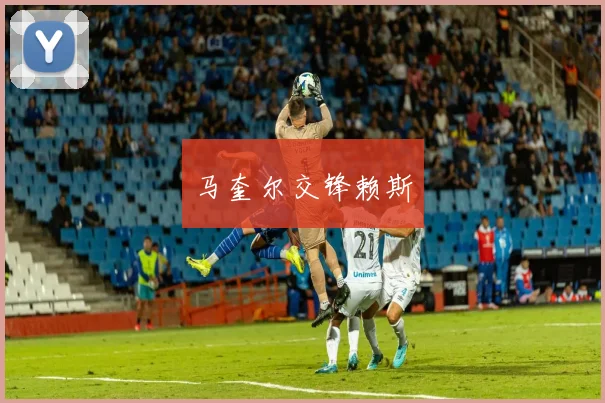 马奎尔交锋赖斯