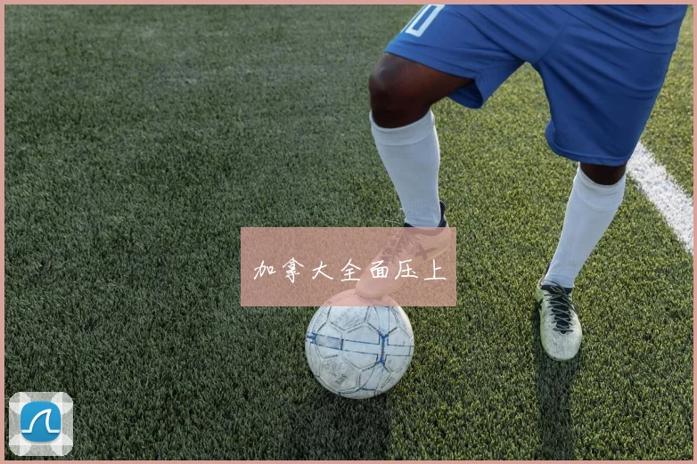 加拿大全面压上