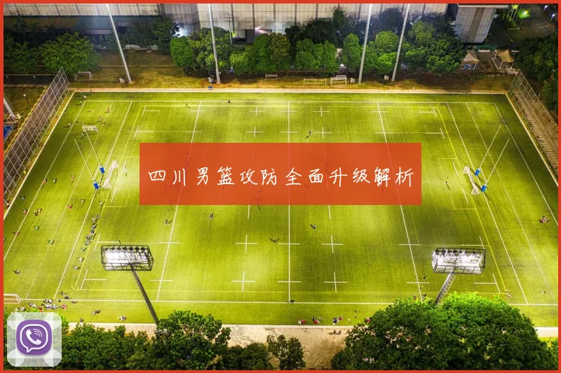 四川男篮攻防全面升级解析
